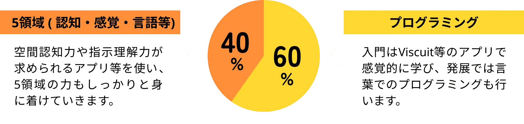 カリキュラム比率|5領域（認知・感覚・言語等）：空間認知力や指示理解力が求められるアプリ等を使い、5領域の力もしっかりと身に着けていきます。|プログラミング：入門はViscuit等のアプリで感覚的に学び、発展では言葉でのプログラミングも行います。